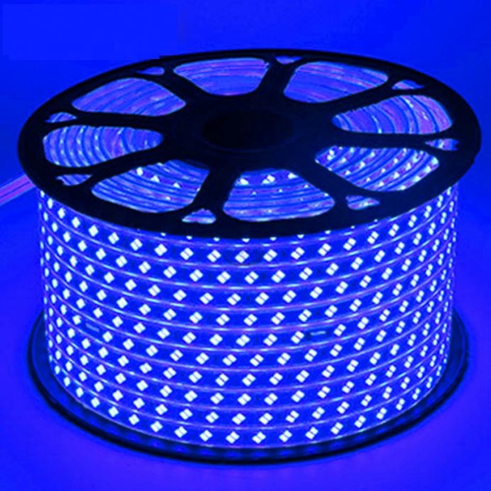 high quality Waterproof SMD5050 Tape AC220V Flexible Led Strip 60 led Outdoor Garden with EU plug