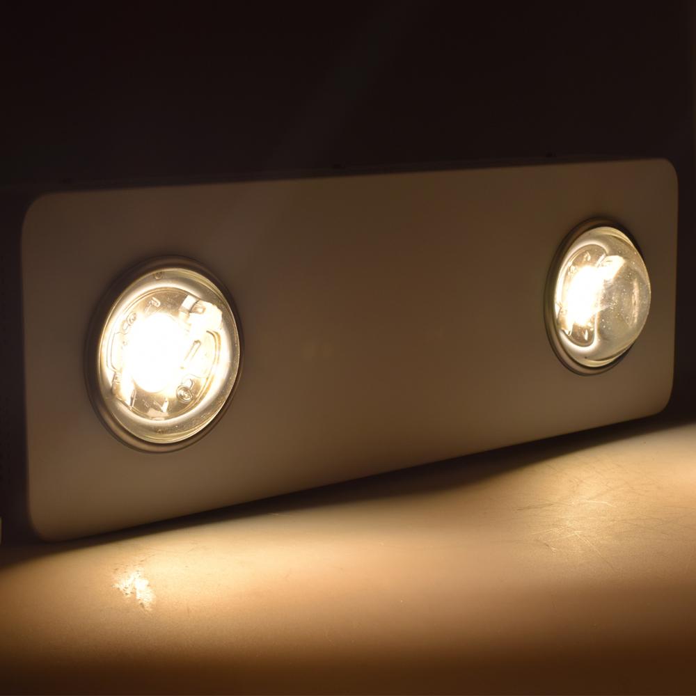 Plant Growing Lamp warm light 200W led grow light