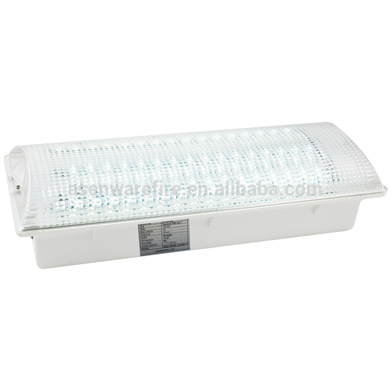 New products Industrial LED lamp emergency can do exit light