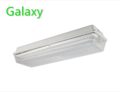 12W long life time ip65 general/emergency tri-proof led bread ceiling and wall bulkhead light