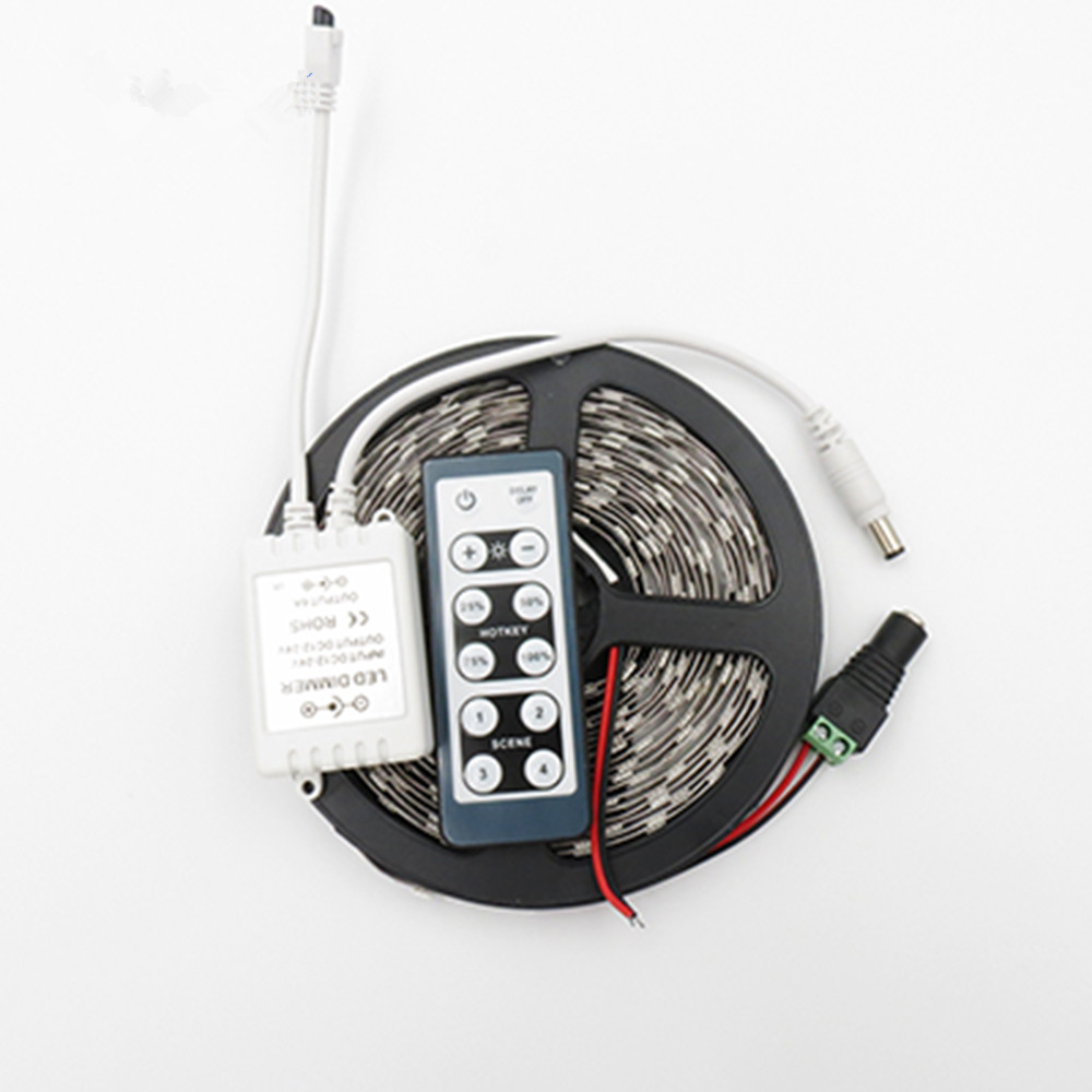 waterproof RGB Led 3528 5050 DC12V Flexible led strip light