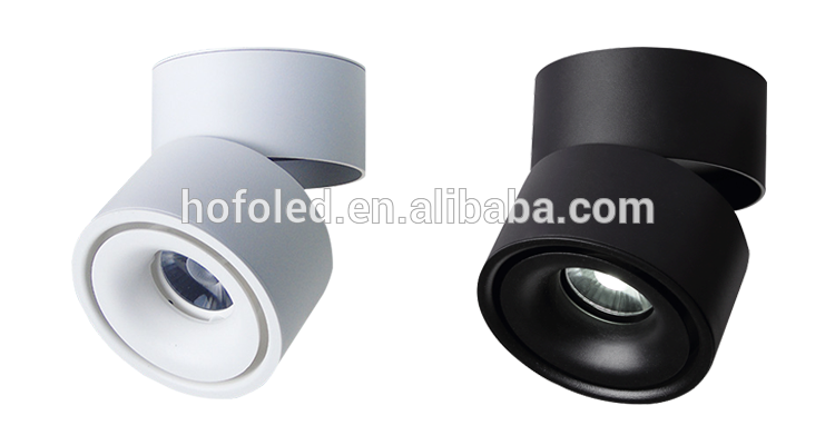 Standard Adjustable COB Recessed Led Downlight For Store