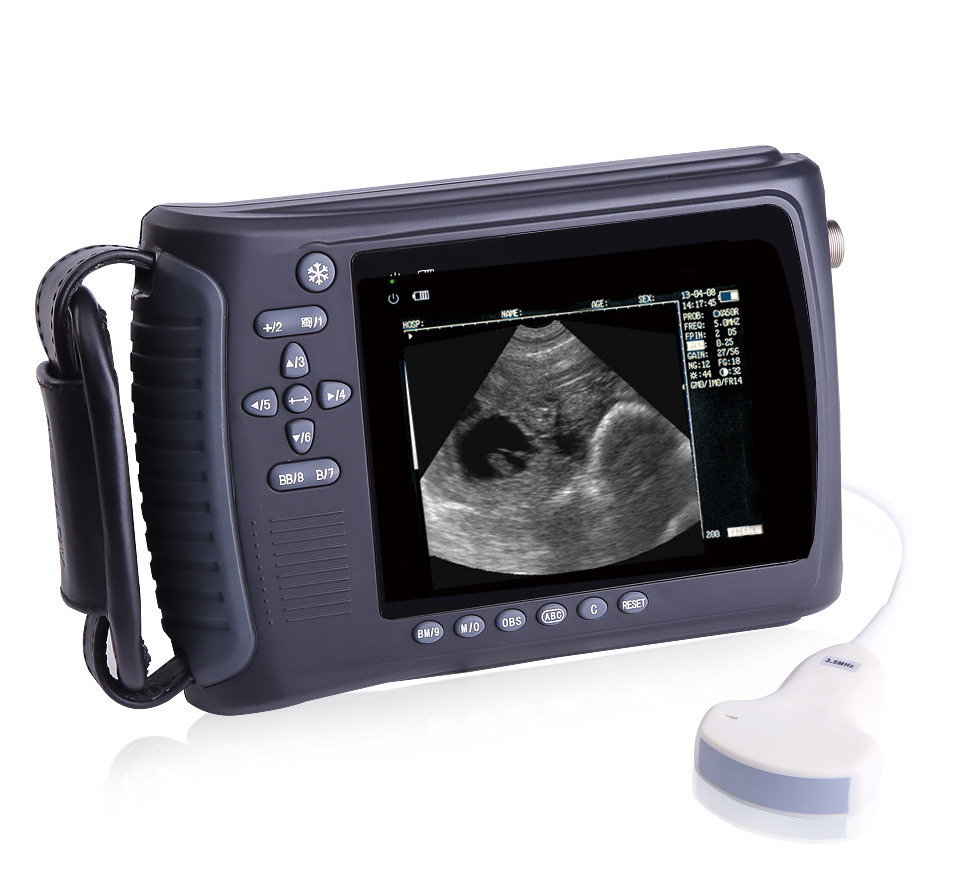 Veterinary handheld ultrasound scanner for cow pregnancy test