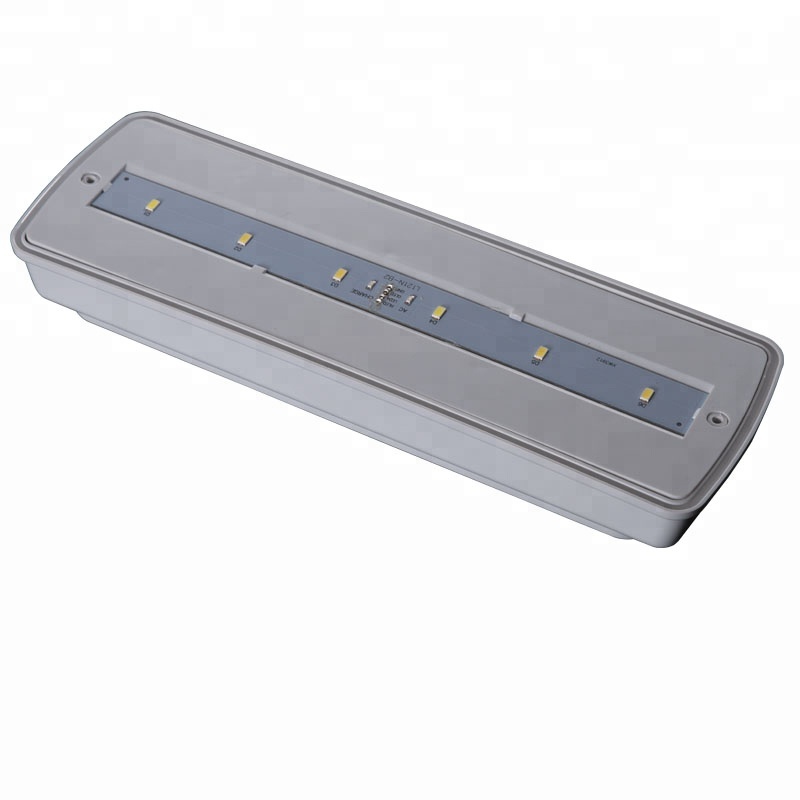 IP65 Waterproof Standby LED Emergency Illumination Light