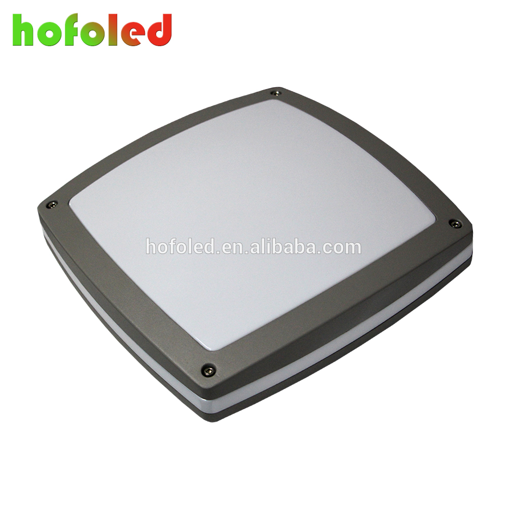 ip65 low price led ceiling light projector 30W