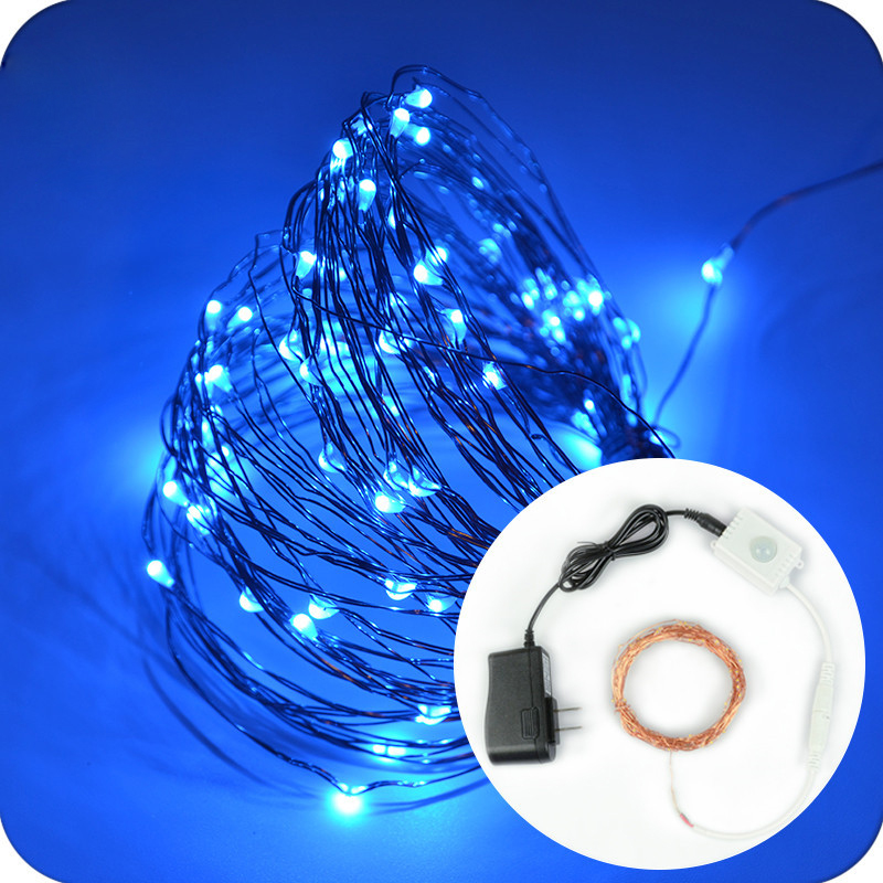 Warm White PIR Sensor Decorative Indoor Micro Led Copper Wire String Lights