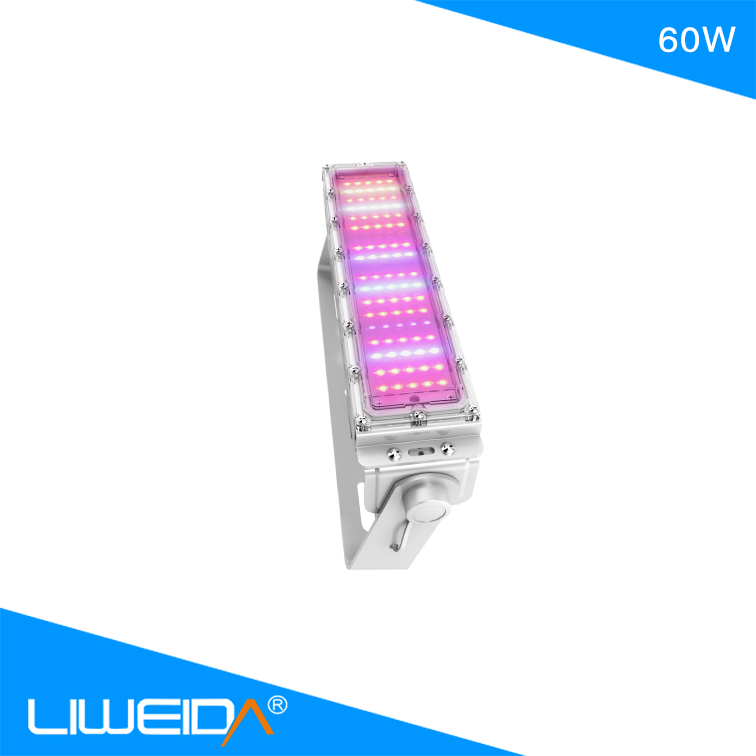 60W 60lm/w  IP65  Custom Ratio Agricultural Hydroponic Outdoor Light Led Grow Light Tunnel for Leafy Vegetables