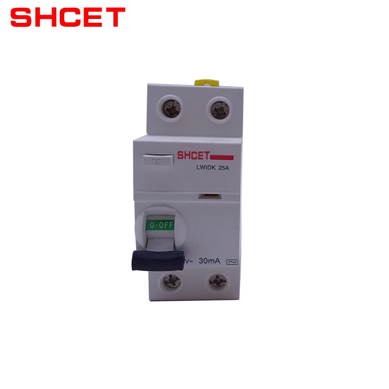 China 2p 40a 30ma 100ma 300ma Recloser RCCB Circuit Breaker for Sale