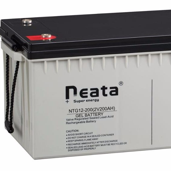 NEATA dry cell lead acid batteries