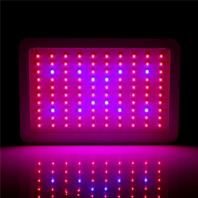 indoor 300w 600w 1000w 1200w 1500w 1800w 2000w full spectrum plant led grow light