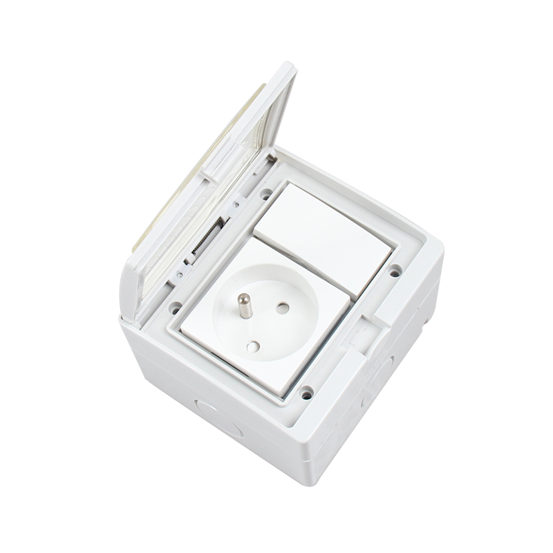 SAIPWELL/SAIP French Style IP55 Electrical Wall Mounting Waterproof Switch Socket(SP-FRS)