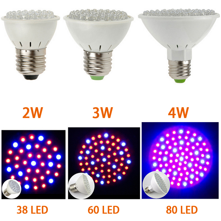 Garden Flowerhouse 2.2W LED Plant Grow Light E27 Red and Blue Color 38 LEDs LED Plant Grow Light