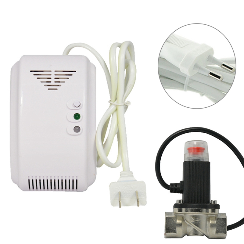 SUMRING OEM offer network co alarm detector carbon monoxide Solenoid valve Size optional