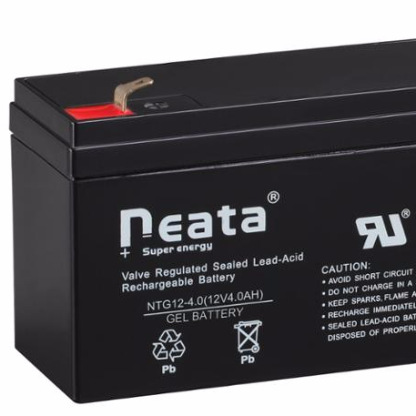 NEATA 12 Volt 4 Amp Rechargeable Standard security equipment battery