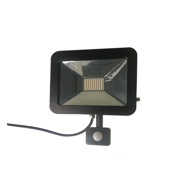 220v stadium lighting 30w led flood light