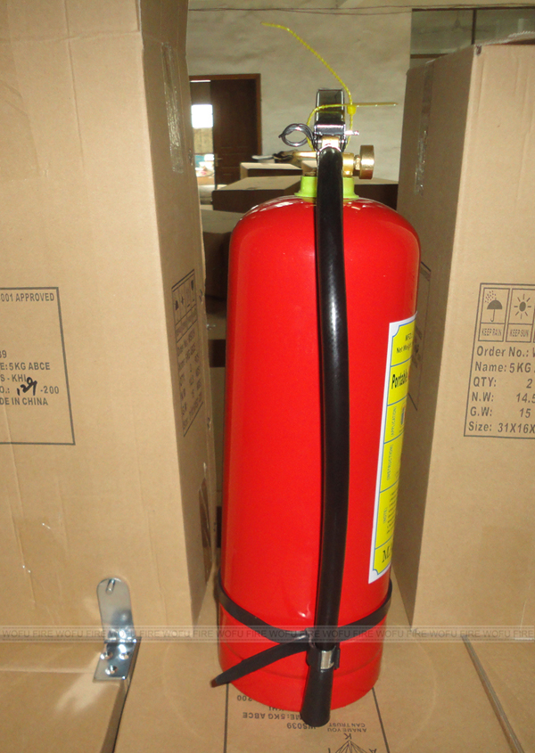 8kg BC stored pressure portable Dry Powder fire extinguisher