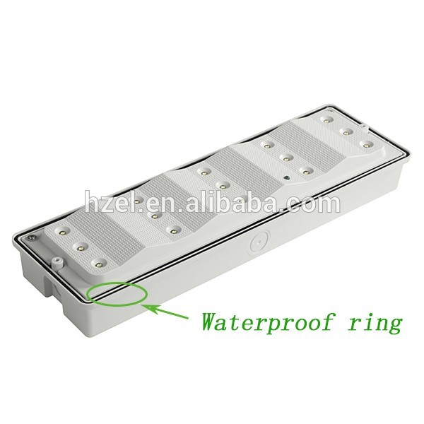 IP65 Battery Backup Running Man Emergency LED Lighting