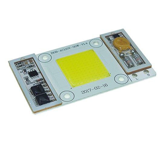 AC220V driverless 50W 6000K 250W Equivalent Daylight Cob LED Flood Light Bulbs Chip Waterproof