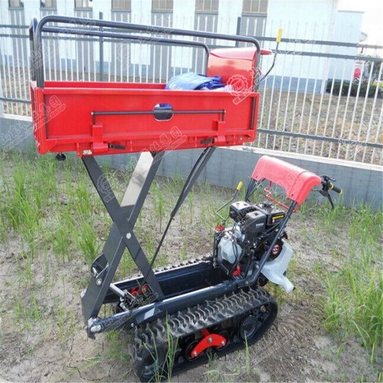 Crawler type mini tracked site dumper