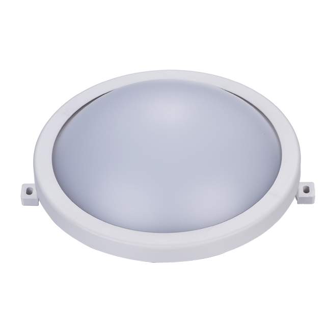 IP65 waterproof outdoor wall lamp SMD wall mounted LED wall light for garden, yard(PS-WL53L-12W)