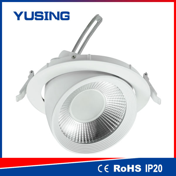 3 Years Warranty, Zhaga Style, CE RoHS 20W COB LED Spot Light IP40