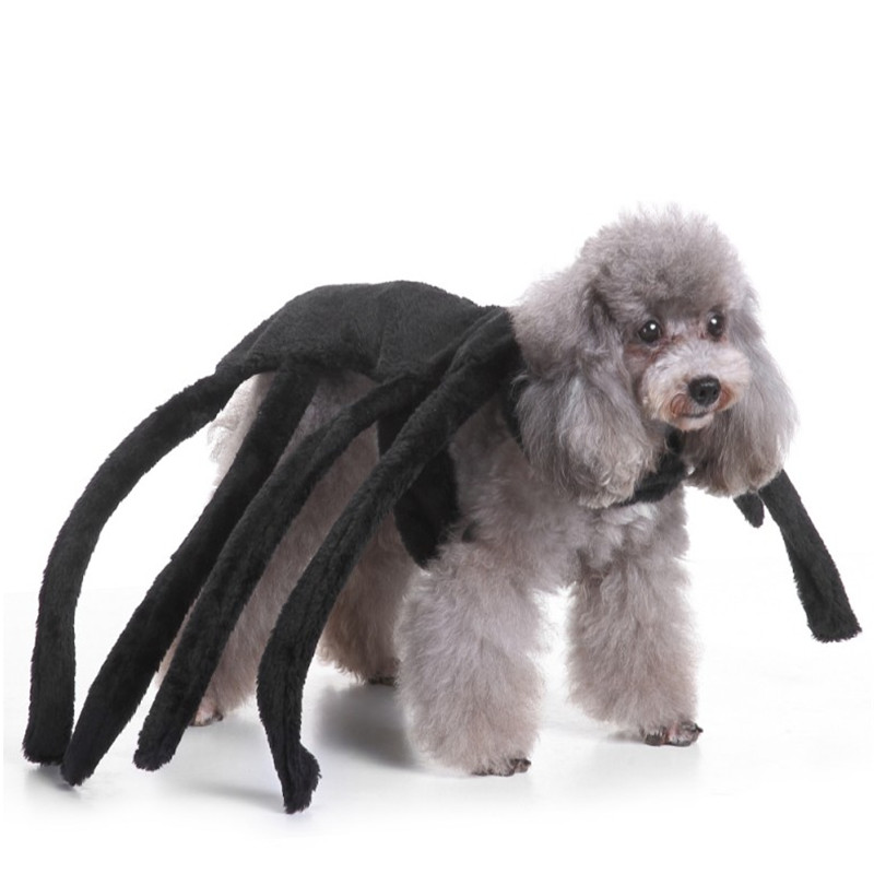 New Style Pet Dog Halloween Cosplay Spider Puppy Costume Clothes Suit