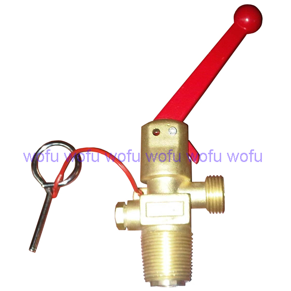 CO2 Trolley valve for fire extinguisher, PZ27.8-Ecuador use