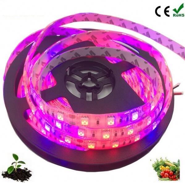 Red Blue 4:1 5:1 Full spectrum DC12V smd 5050 strip led grow lighting for Greenhouse Hydroponic Plant Growing