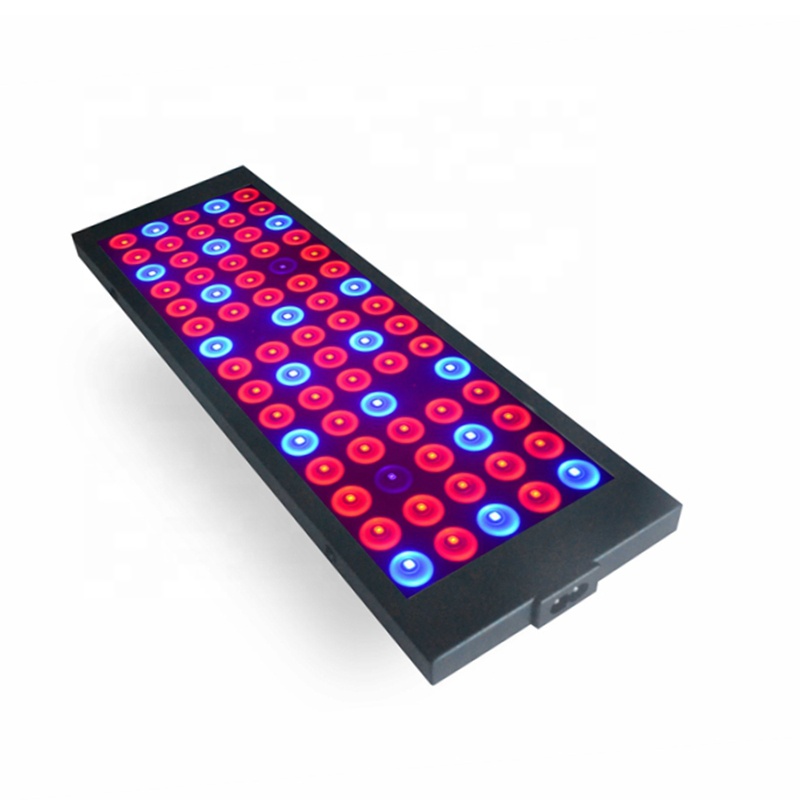 Red Blue UV IR Full Spectrum Best 40W Free Sample LED Plant Grow Light for Indoor Plants