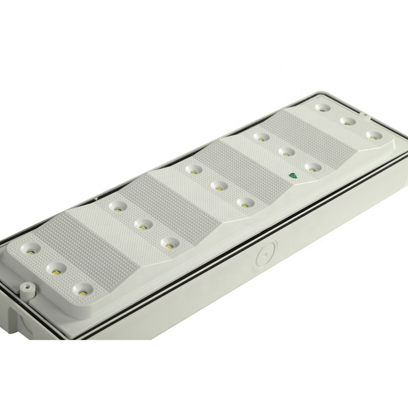 Maintained Emergency Bulkhead LED IP65  Light