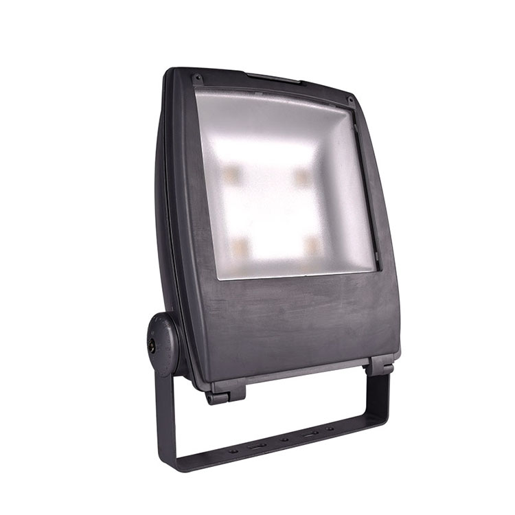 High Quality 10W 30W 50W 80W 100W 120W 200W COB IP65 LED Flood Light 200 Watt