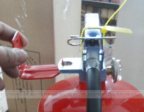 Type 9 safety pin use for fire extinguisher