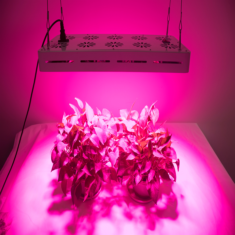 Full Spectrum Led Grow Lights For Indoor Hydroponics Plants 50W-1000W