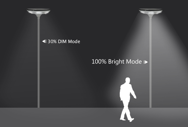 30W Outdoor Garden Lights IP65 Solar Lights For Garden With Solar Panel Output