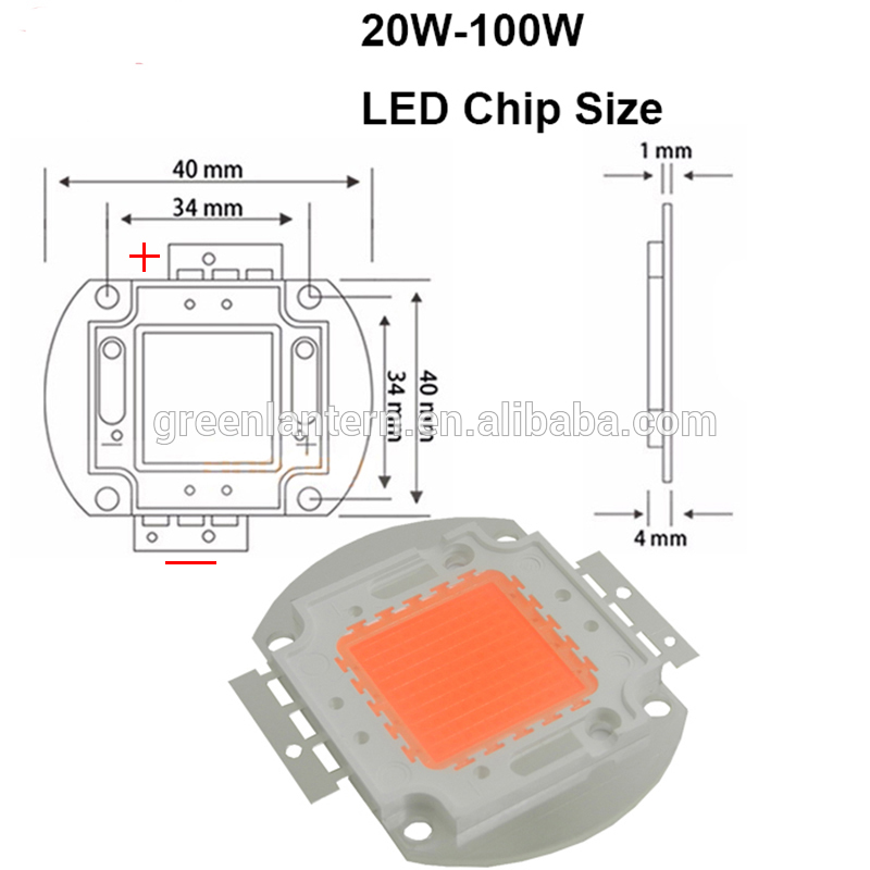 full spectrum 400nm~840nm cover plant all stage greenhouse 50w 100w Hydroponics LED Beads LED COB Grow led light