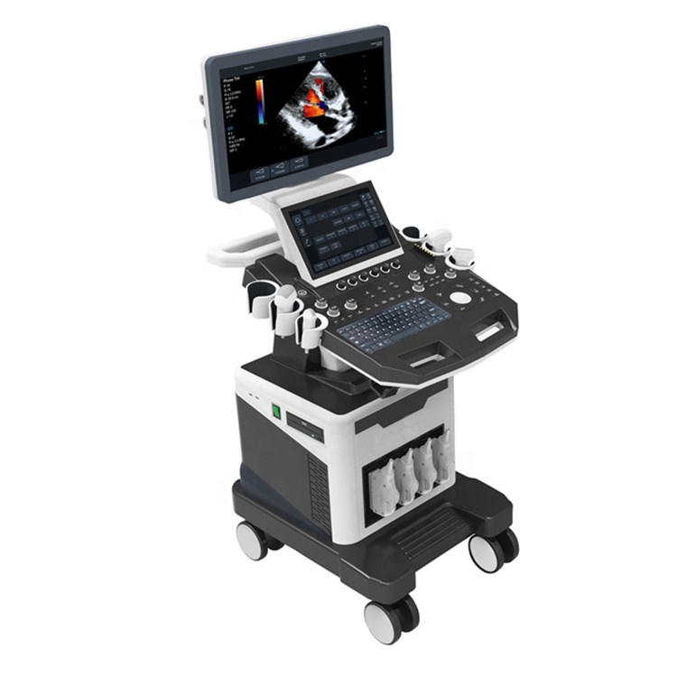 Portable 3D/4D color doppler ultrasound machine