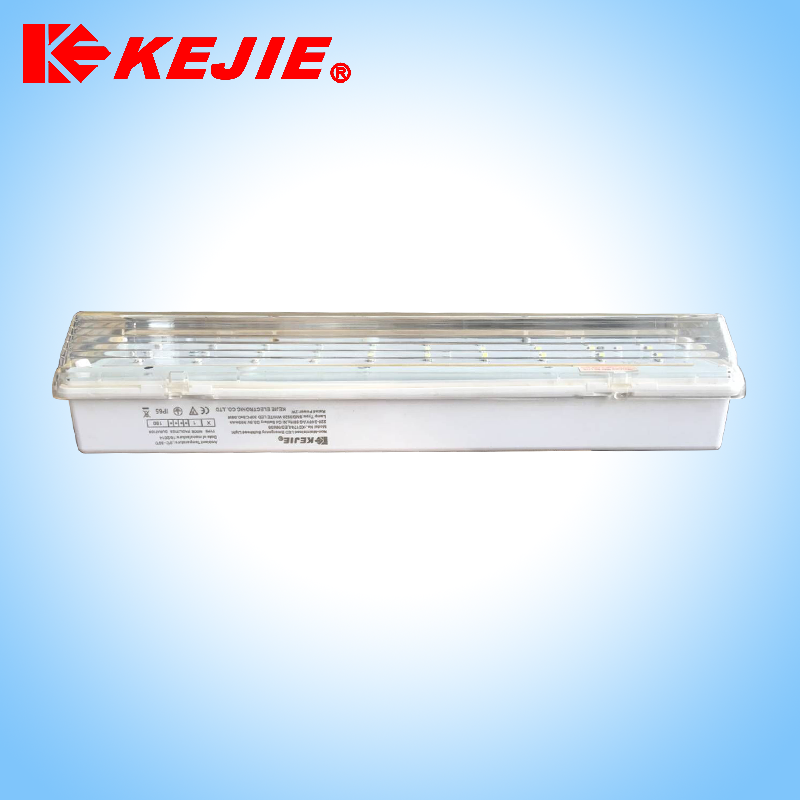 Non maintained compact style for Middle East market IP65 self-testing battery operated led emergency lights