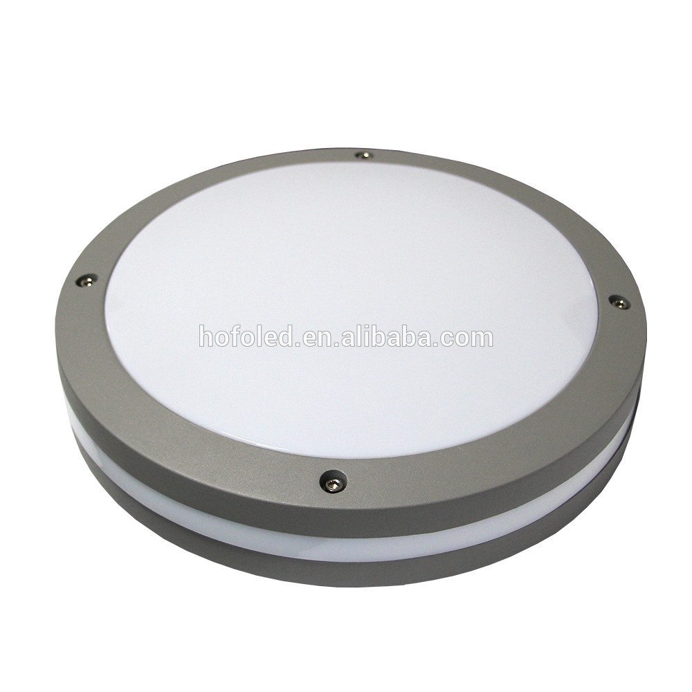 2019 Hot Sale High Lumen 30W  Induction LED Ceiling Moisture Proof Luminaire