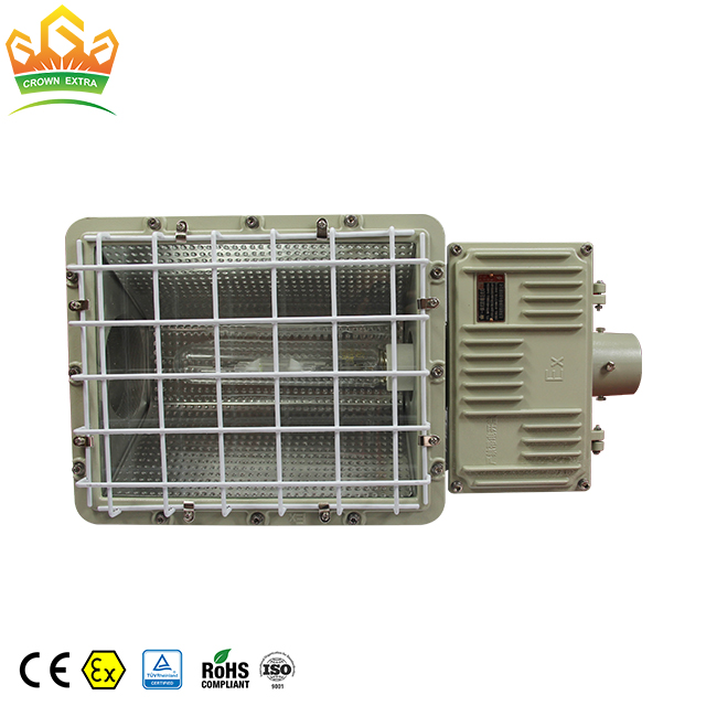 250-1000W explosion proof HID light