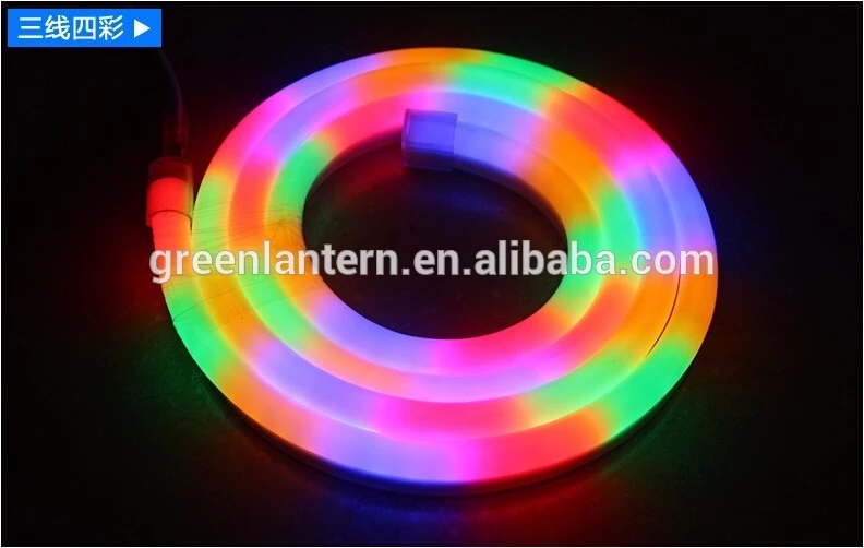 Outdoor 220v Two-Sided LED Flexible Neon Light for Building Decoration