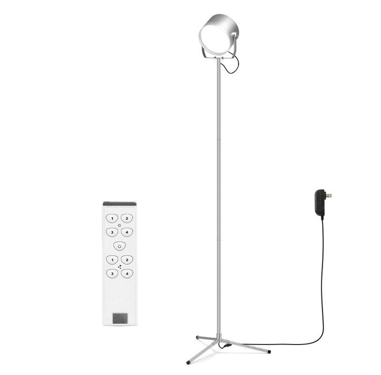 Modern Simple Style Living Room Remote Control Warm White Bi-color Standing LED Floor Lamp with Tripod