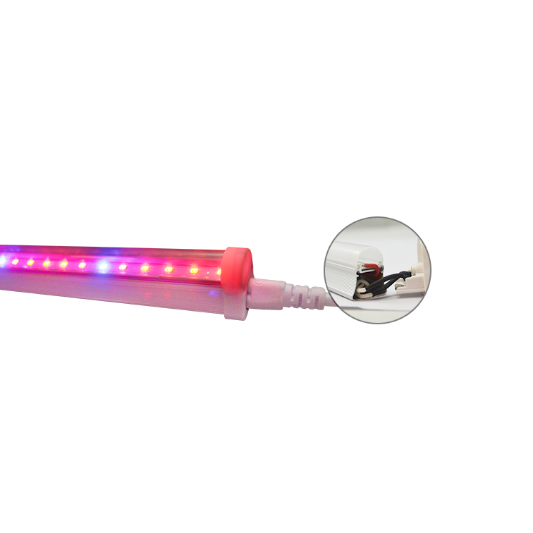 Pitaya and plant use red and blue led tube lighting type 900mm t5 15w fixture full spectrum led grow light