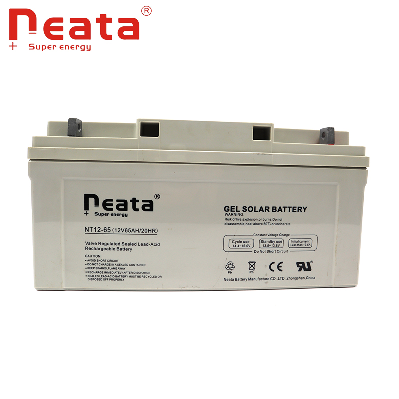 12V 65AH Deep Cycle Security Equipment Battery For Home Security System