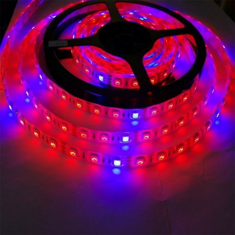 Outdoor SMD 5050 Waterproof Led Rope Plant Grow Light Strip Lighting Red:Blue 3:1 4:1 5:1 6:1 LED Grow Light 12V DC 24V