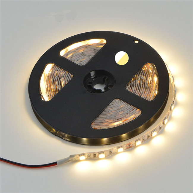Two color tunable dual white led strip SMD5050 WW 3000K+CW 6500K Tape LED light