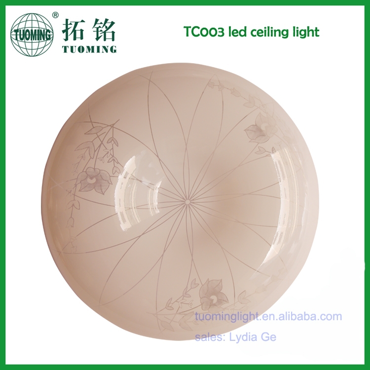 Wholesale TC003 acrylic 8/12/18/24W round surface mount led ceiling light modern led energy saving ceiling lamp with control