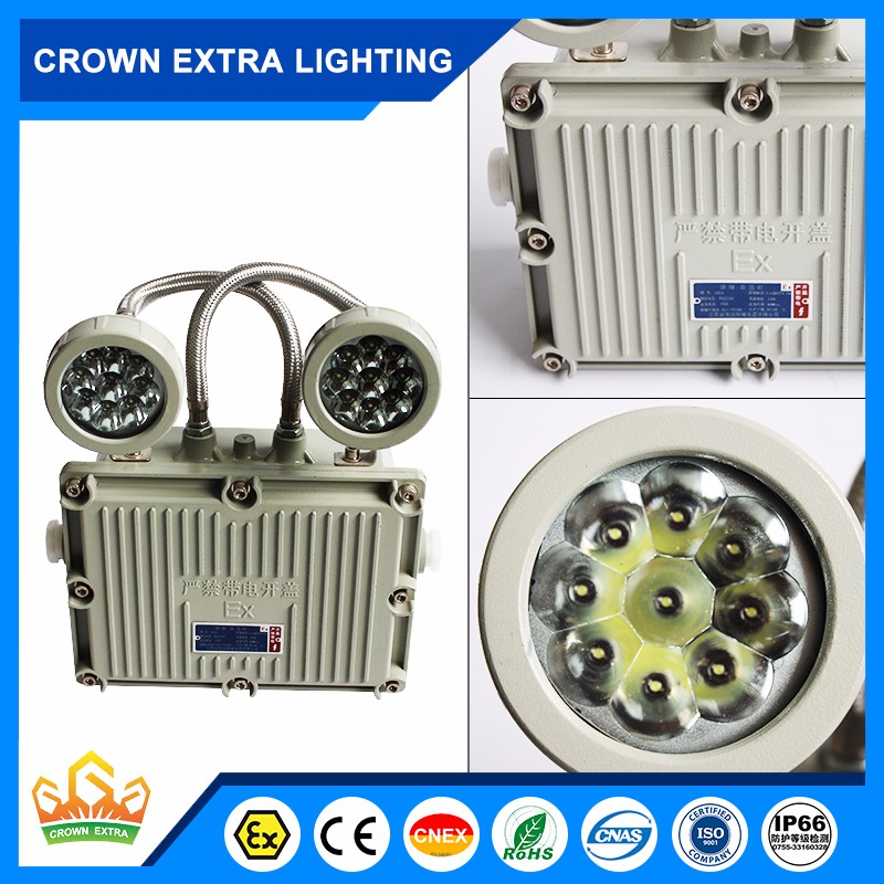 explosion proof emergency light Suitable for fire-fighting places such as flammable and explosive Zone 1&2; zone 21&22