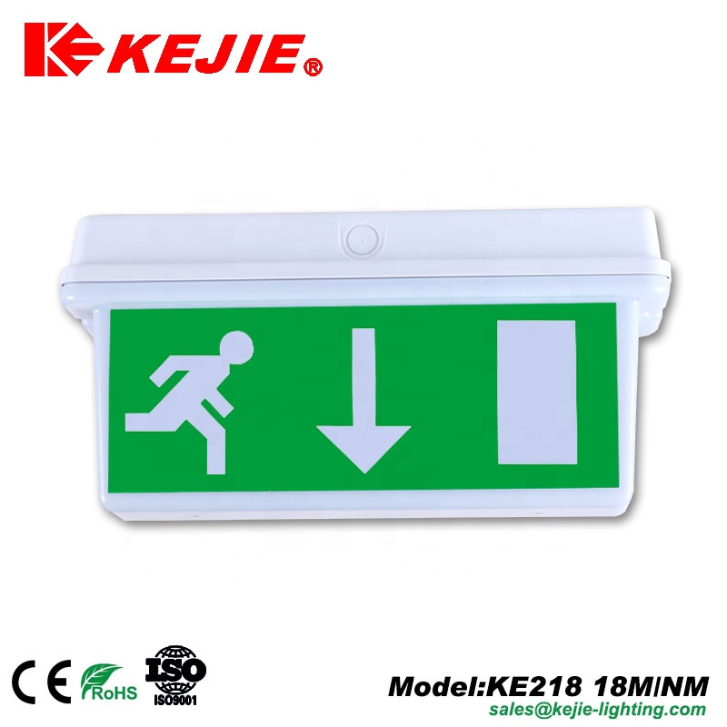 Rechargeable 1x 8W tube recessed mounted emergency bulkhead exit sign