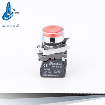 push button switch with LED neon light LAY4-BW3462