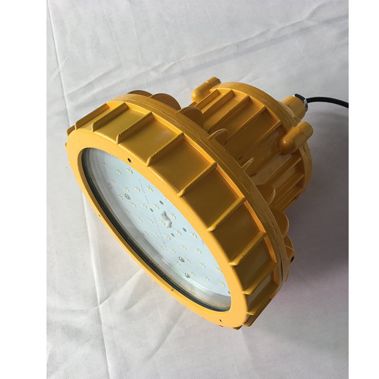 TFE9185 70w Led Explosion-proof Portable Lamp Luminaire Lighting Price